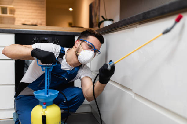 Best Cockroach Control Services  in Rockwood, MI