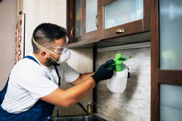 Best Pest Control for Restaurants  in Rockwood, MI