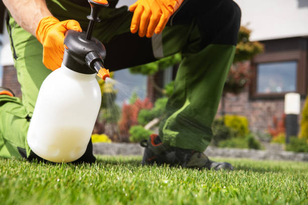 Pest Prevention Services in Rockwood, MI