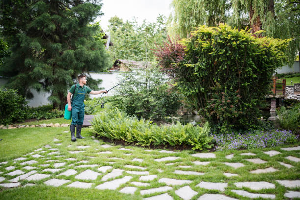 Best Pest Control Near Me  in Rockwood, MI