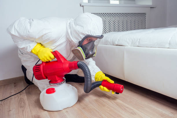 Best Termite Control Services  in Rockwood, MI