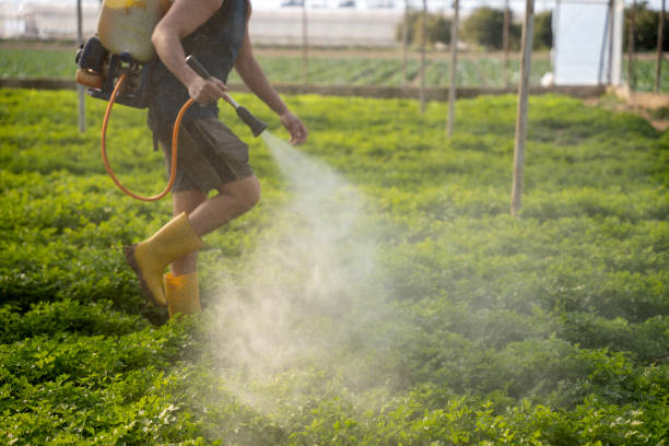 Best Pest Prevention Services  in Rockwood, MI