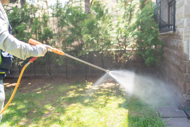 Best Termite Control Services  in Rockwood, MI