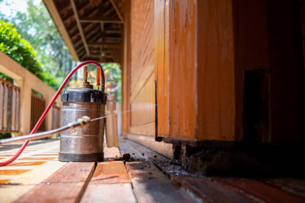 Best Pest Removal Services  in Rockwood, MI