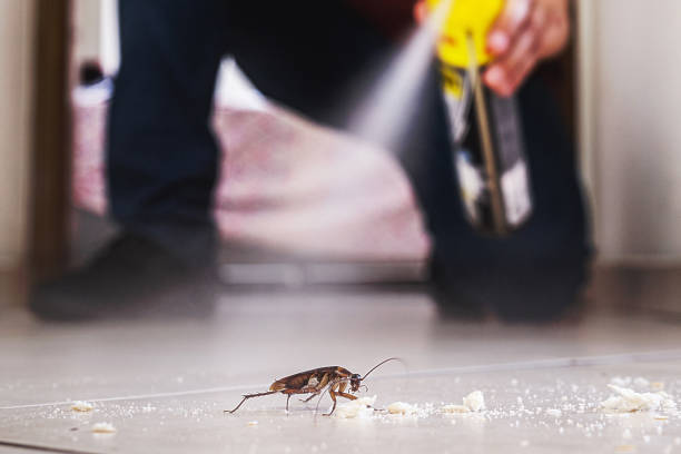 Best Pest Control Near Me in Rockwood, MI