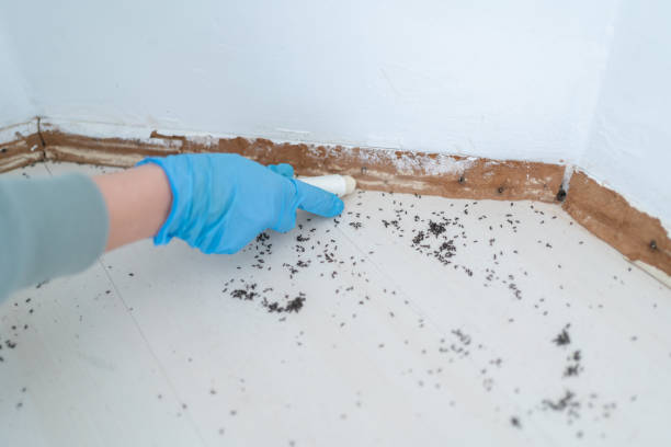 Best Exterminator Services  in Rockwood, MI