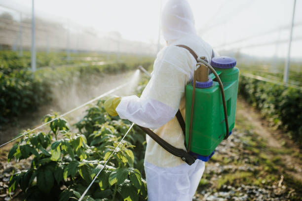 Best Best Pest Control Companies  in Rockwood, MI